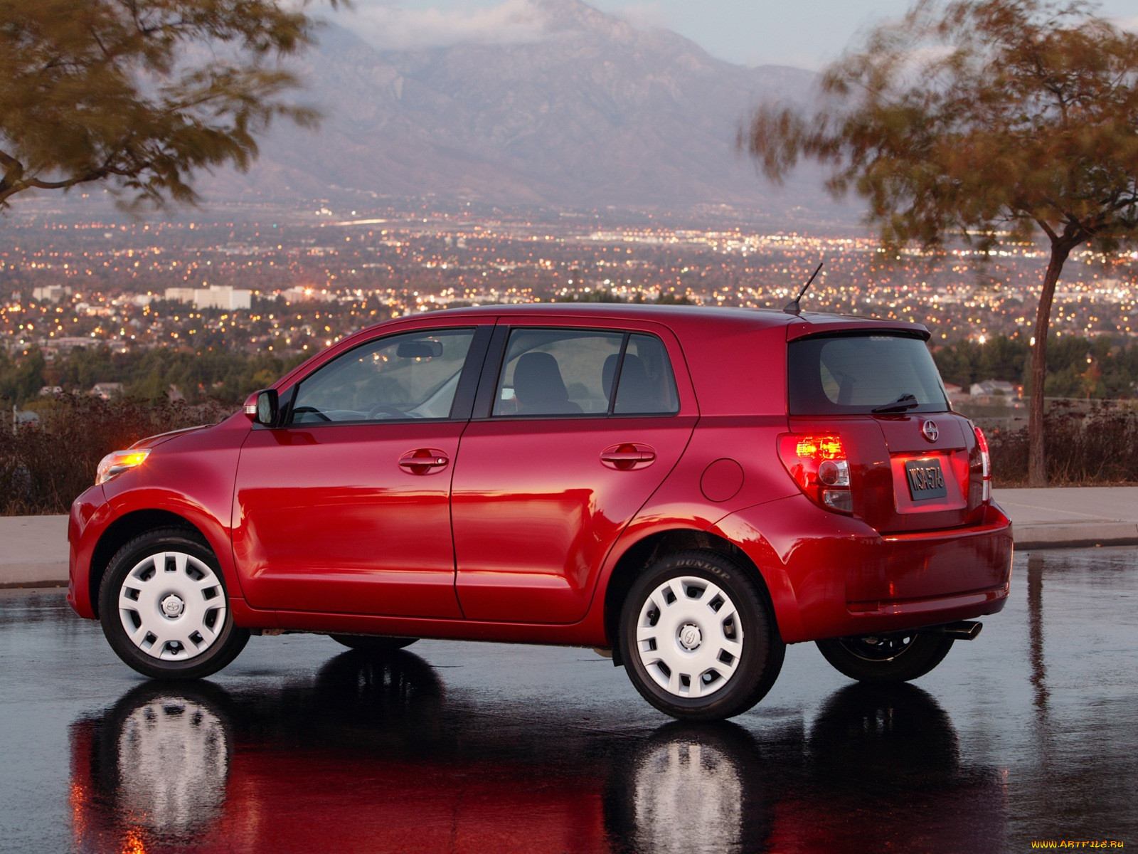 , scion
